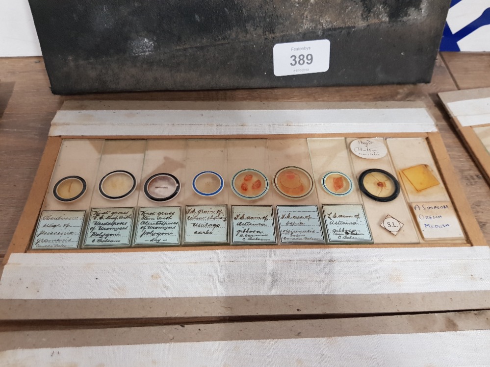 A COLLECTION OF VICTORIAN MICROSCOPE SLIDES TO INCLUDE MAYFLY WING ALGAE ETC - Image 4 of 7