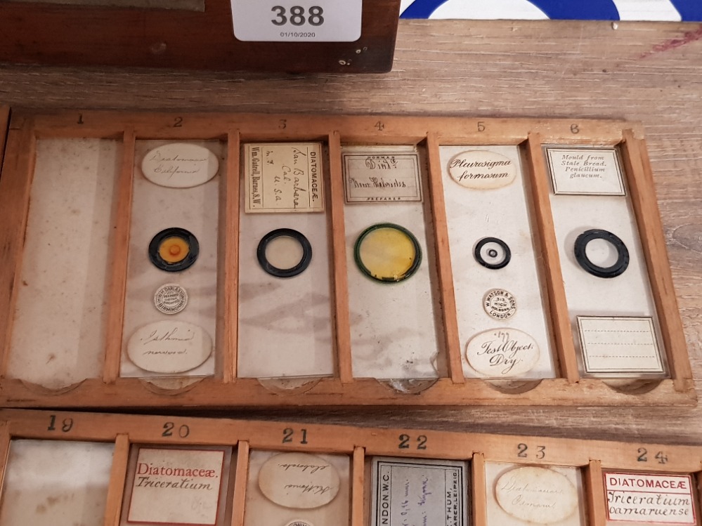 A COLLECTION OF VICTORIAN MICROSCOPE SLIDES TO INCLUDE BALSAM MOULD FROM STALE BREAD ETC - Image 4 of 5