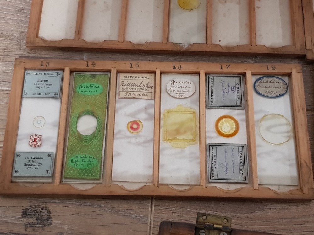 A COLLECTION OF VICTORIAN MICROSCOPE SLIDES TO INCLUDE BALSAM MOULD FROM STALE BREAD ETC - Image 3 of 5