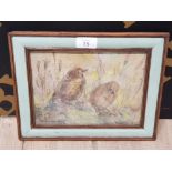 ISABELLA HORTON HAVERY SIGNED WATERCOLOUR TITLED YOUNG BLACKBIRDS 16CM BY 22CM