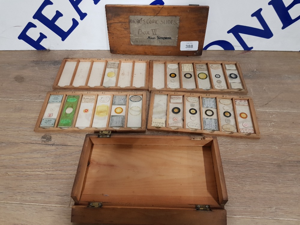 A COLLECTION OF VICTORIAN MICROSCOPE SLIDES TO INCLUDE BALSAM MOULD FROM STALE BREAD ETC