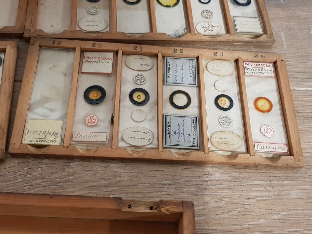 A COLLECTION OF VICTORIAN MICROSCOPE SLIDES TO INCLUDE BALSAM MOULD FROM STALE BREAD ETC - Image 5 of 5