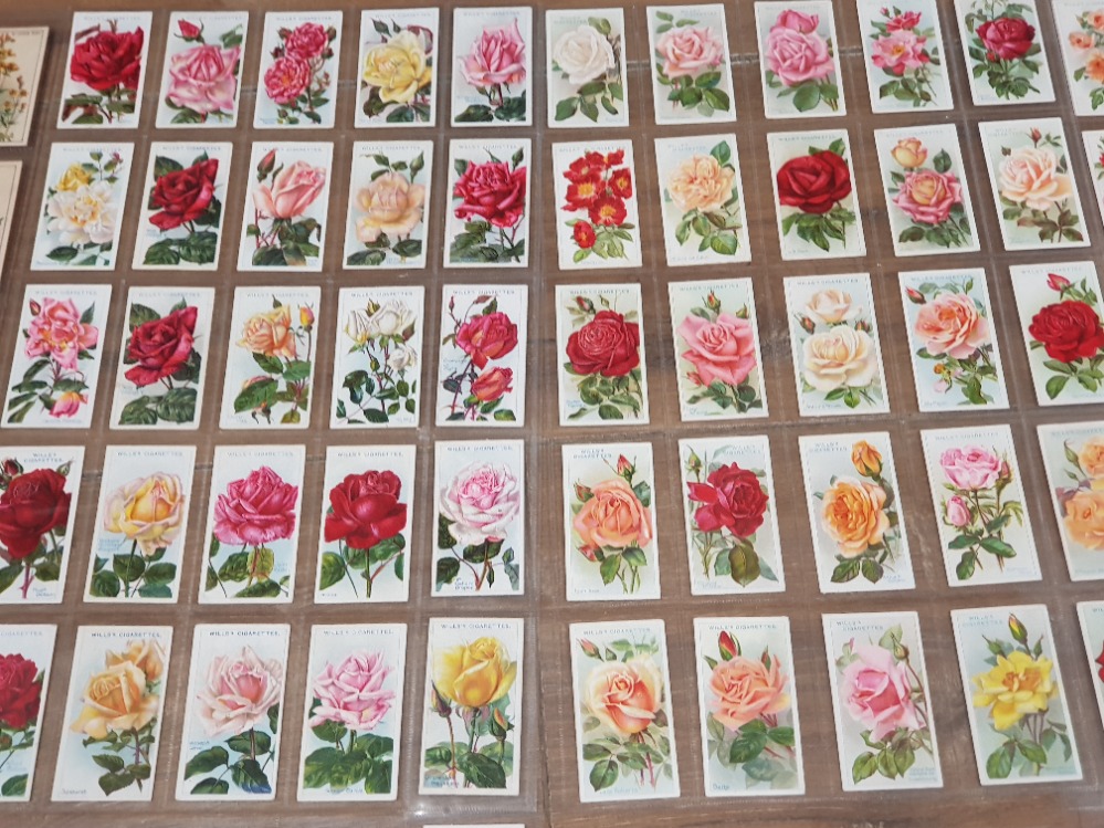 CIGARETTE TRADE CARDS ROSES AND FLOWERS 1910-1939 X5 DIFFERENT FULL SETS BY CARRERAS CWS AND WILLS - Bild 2 aus 3