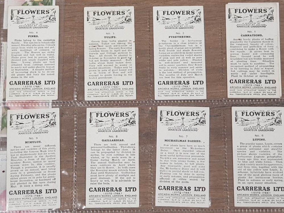 CIGARETTE TRADE CARDS ROSES AND FLOWERS 1910-1939 X5 DIFFERENT FULL SETS BY CARRERAS CWS AND WILLS - Bild 3 aus 3