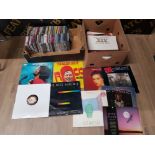 QUANTITY OF LP RECORDS, CLIFF RICHARD, BILLY IDOL, RUSH ETC PLUS BOX OF CDS