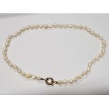 FRESHWATER PEARL NECKLET IN BOX
