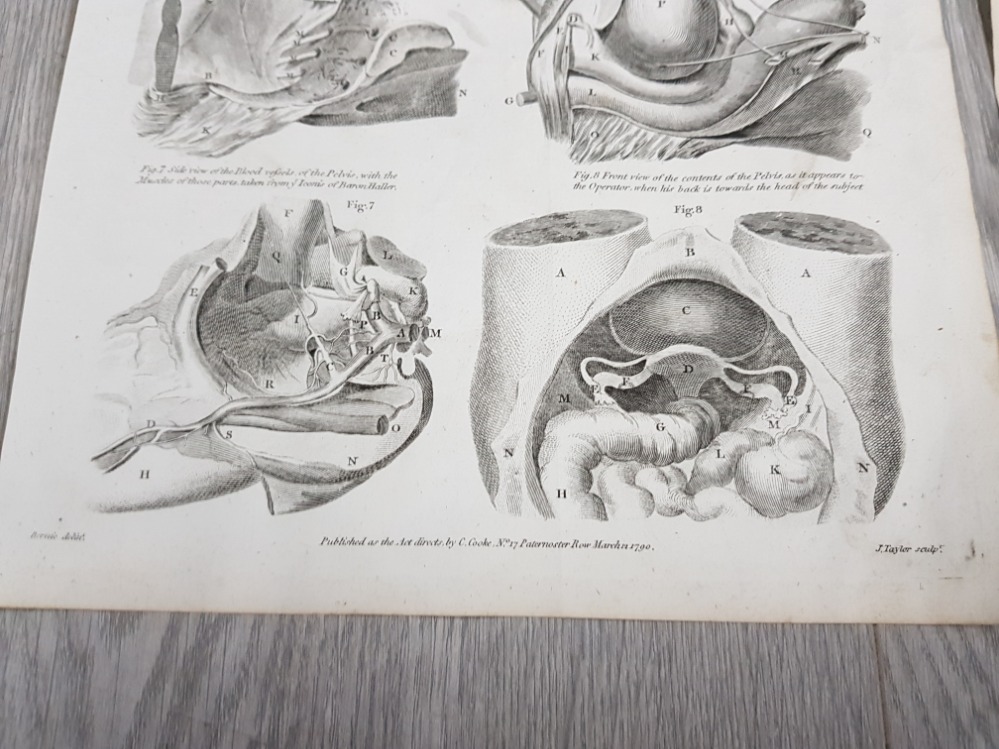 TWO 18TH CENTURY PLATE ENGRAVINGS DEPICTING THE MALE AND FEMALE PELVIS ENGRAVED BY J TAYLOR - Image 2 of 3