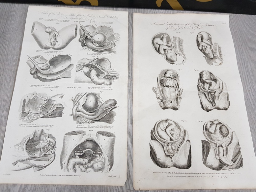 TWO 18TH CENTURY PLATE ENGRAVINGS DEPICTING THE MALE AND FEMALE PELVIS ENGRAVED BY J TAYLOR