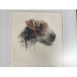 A COLOUR ENGRAVING OF A FOX TERRIER ‘MAYA’ INSCRIBED AND INDISTINCTLY SIGNED 31.5 X 28CM