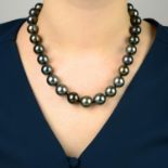 A cultured Tahitian pearl single-strand necklace, with 18ct gold clasp.