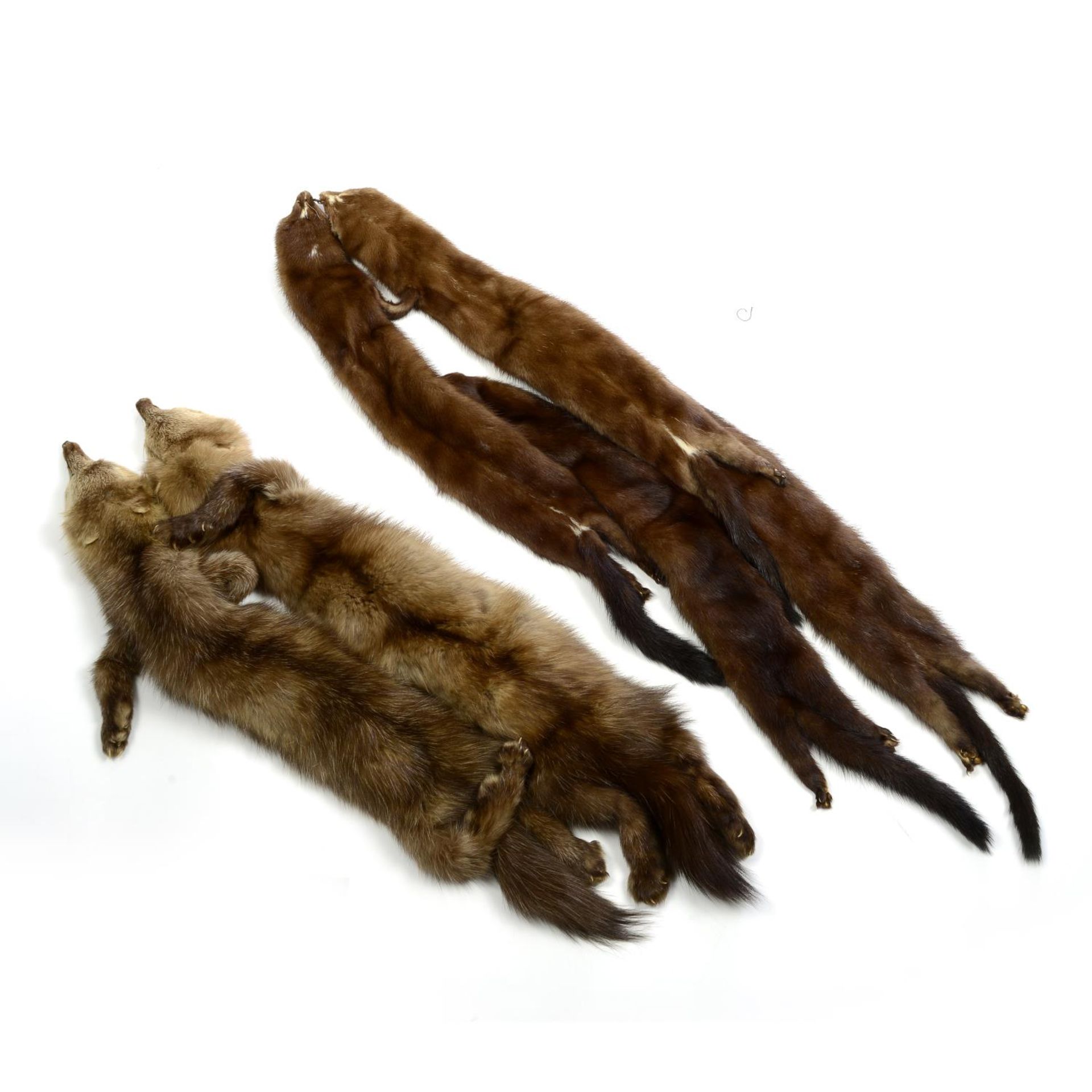 A selection of fur items. - Bild 3 aus 3