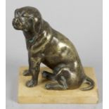 A late 19th century cast bronze study of a pug dog,