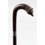 A gentleman's walking cane,