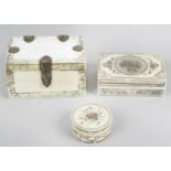 A 19th century ivory casket and cover,