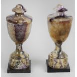 A pair of 19th century Blue John pedestal urns,