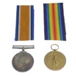 Great War Pair, British War Medal 1914-20, Victory Medal, named to '766222 Pte.