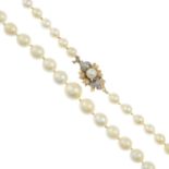 Cultured pearl single-strand necklace, cultured pearl measuring 9 to 5.3mms, length 56cms.