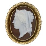 A late 19th century 9ct gold shell cameo brooch,