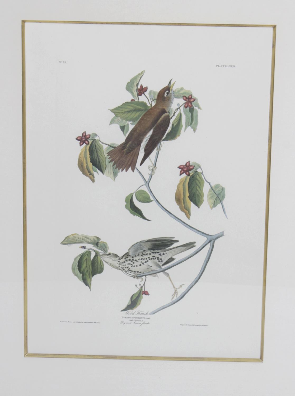 After John James Audubon - 14 framed and glazed photolithographs, - Image 2 of 15