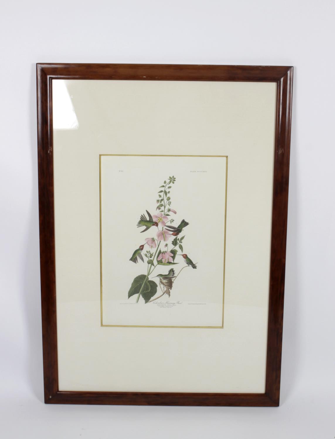 After John James Audubon - 14 framed and glazed photolithographs, - Image 5 of 15