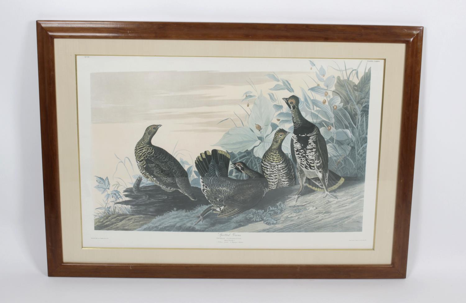 After John James Audubon - 14 framed and glazed photolithographs, - Image 4 of 15