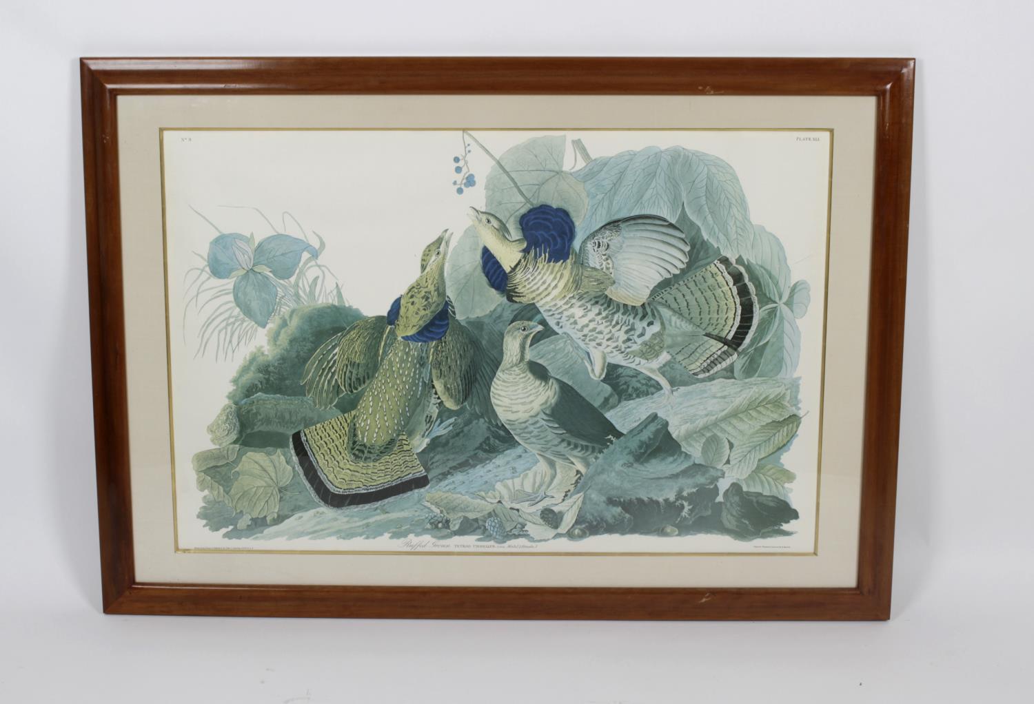 After John James Audubon - 14 framed and glazed photolithographs, - Image 3 of 15