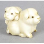 A late 19th century carved ivory netsuke modelled as two lapdogs.