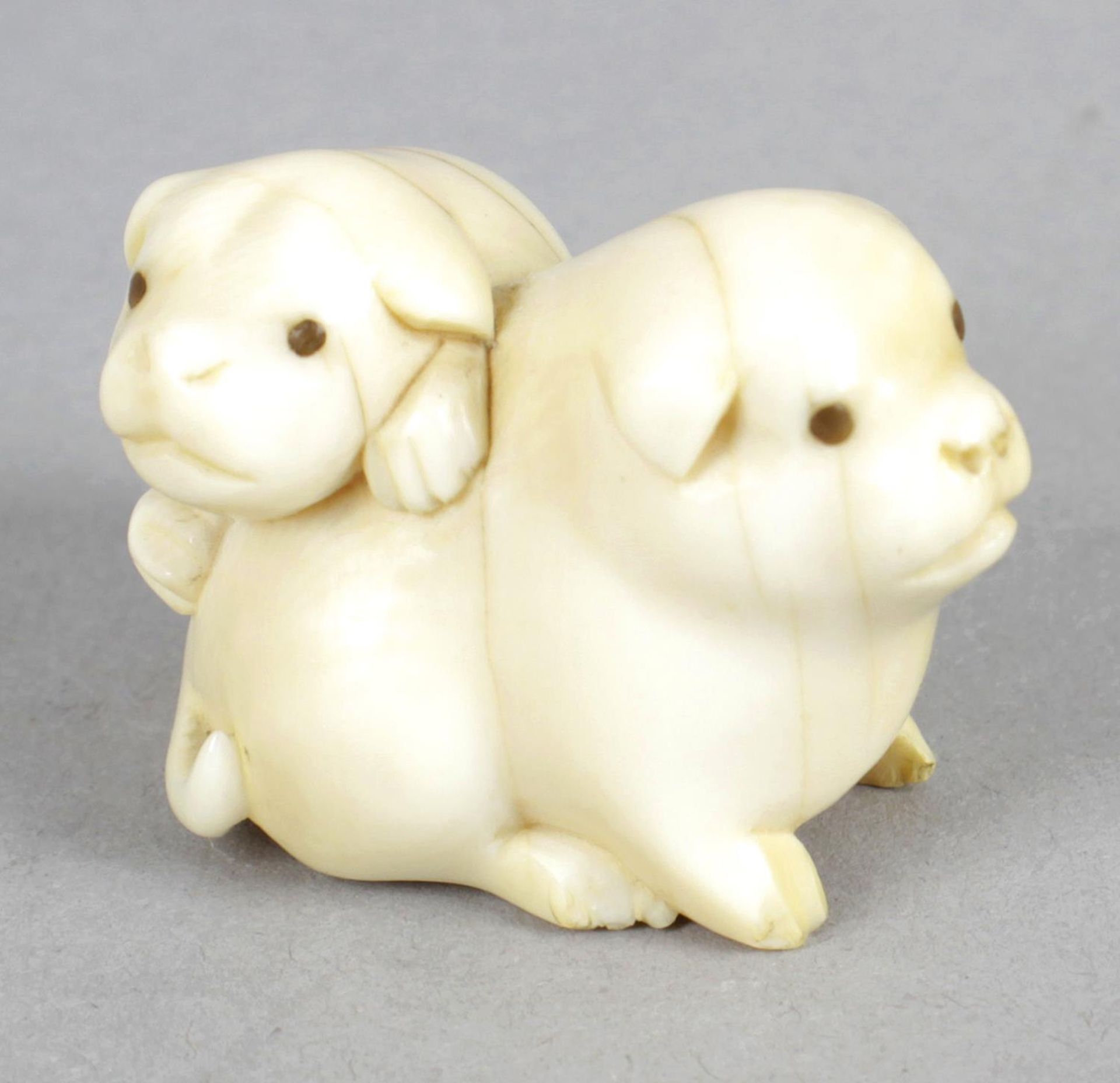 A late 19th century carved ivory netsuke modelled as two lapdogs.