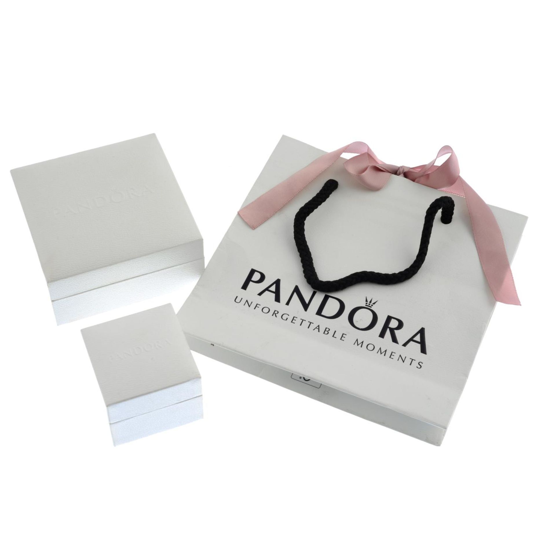 A selection of Pandora boxes and gift bags.