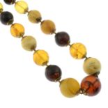 An amber single-strand necklace.Amber beads measuring 31 to 18mms.