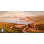 TOM ROWDEN (1842-1926) - Sheep on a coastal path, watercolour, signed, framed, 19cm x 39cm, frame
