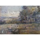 A. BARTON (LATE 19TH CENTURY) - Sheep in a meadow, watercolour, signed with initials, framed, 29cm x