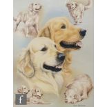 NIGEL HEMMING (B.1957) - A study of two golden retrievers, pastel drawing, signed, framed, 32cm x