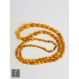 A single row of graduated oval butterscotch amber beads, length of largest bead approximately 2cm,