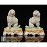 A pair of later 20th Century Dresden models of poodles with encrusted fur sat upon green and brown