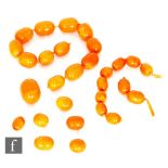 Two early 20th Century graduated strings of amber beads one length twelve beads, each approx 2cm