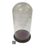 A Victorian style glass display dome on ebonised stand, purple felt base, height 48cm.