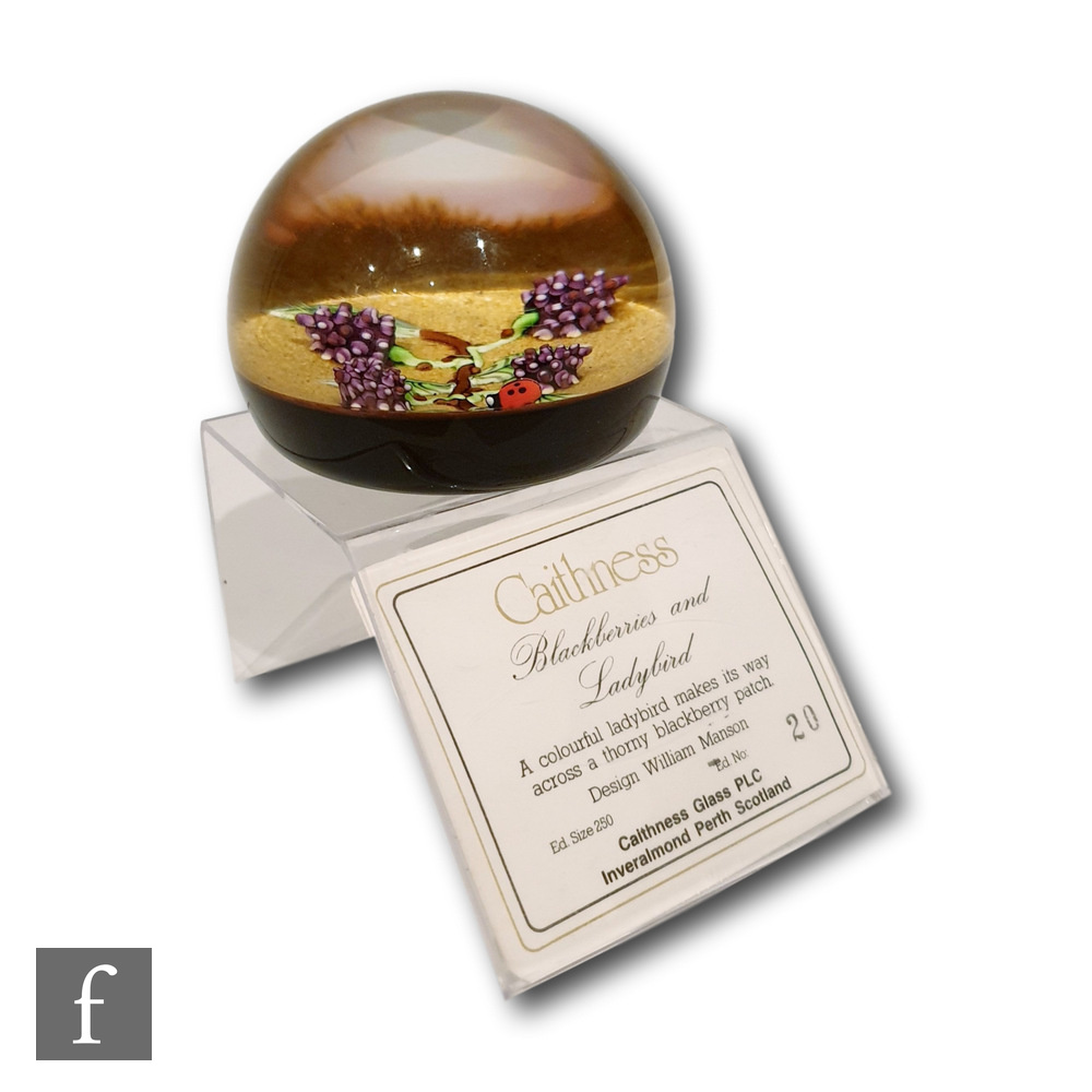 A Caithness glass Blackberries & Ladybird paperweight, limited edition 20 of 250 designed by William