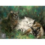 JOEL KIRK (B. 1948) - Three cats, pastel drawing, signed, framed, 28cm x 39cm, frame size 56cm x