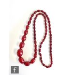 An early 20th Century graduated single row of cherry coloured amber beads, length approximately