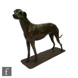 Philip Blacker - Greyhound, life size study, signed and numbered 5/6, height 91cm and length