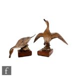 Two Royal Worcester models of American Pintail (Dafila Acuta), both modelled by Ronald Von