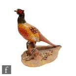 A large Royal Crown Derby model of a pheasant, printed mark and signed to the base L. Payne,