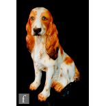 A large mid 20th Century Italian fireside model of a spaniel with orange brown sponging, printed