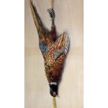 E.D., 1870? Still Life, "Dead Game," watercolour, colourful pheasant hanging, approx.