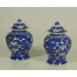Two large Oriental blue and white Jars and Covers, decorated with prunus leaves etc.