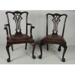 A set of 6 carved mahogany Chippendale style Dining Chairs, a carver and five single chairs,