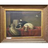 19th Century English School "Spaniels Resting on a Table," O.O.C., approx.