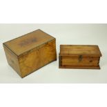 An attractive 19th Century satinwood Storage Box, with floral design and ebony string,