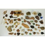 A rare collection of varied Specimen Rocks, Fossils, Coral etc.